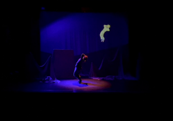 MORT D&rsquo;UN PETIT PRINCE (Enquête dans le désert)<br>François Tantot